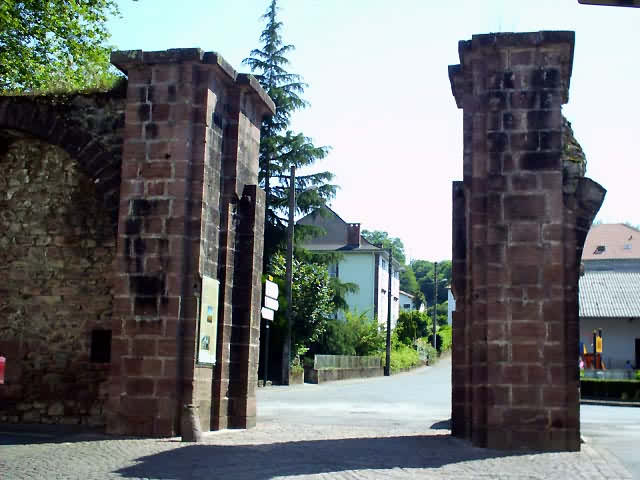 Camino Francés · Étape 1 — photo 2