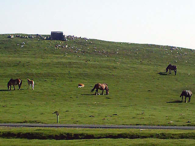 Camino Francés · Étape 1 — photo 9