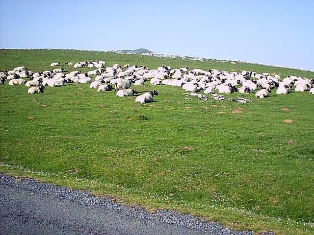 Camino Francés · Étape 1 — photo 10