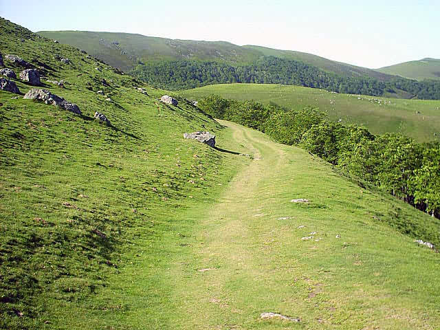 Camino Francés · Étape 1 — photo 14
