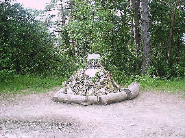 Camino Francés · Étape 1 — photo 19