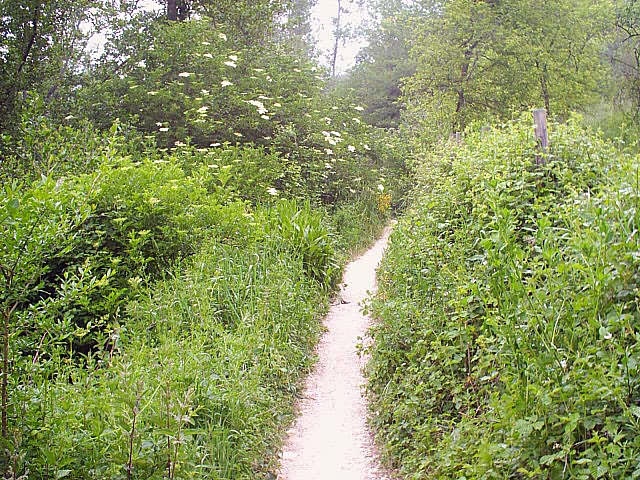 Camino Francés · Étape 1 — photo 22