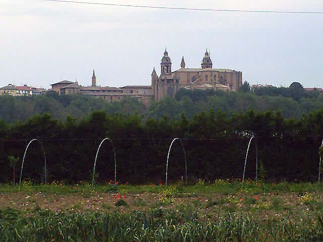 Camino Francés · Étape 1 — photo 23