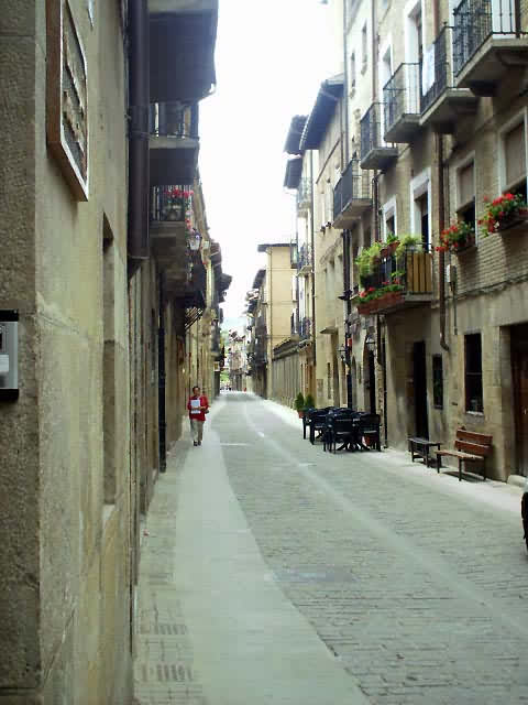 Camino Francés · Étape 1 — photo 32