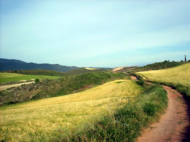 Camino Francés · Étape 1 — photo 35