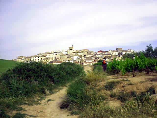 Camino Francés · Étape 1 — photo 37