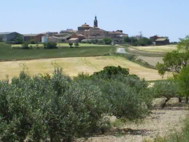 Camino Francés · Étape 2 — photo 9