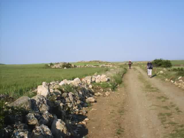 Camino Francés · Étape 2 — photo 28