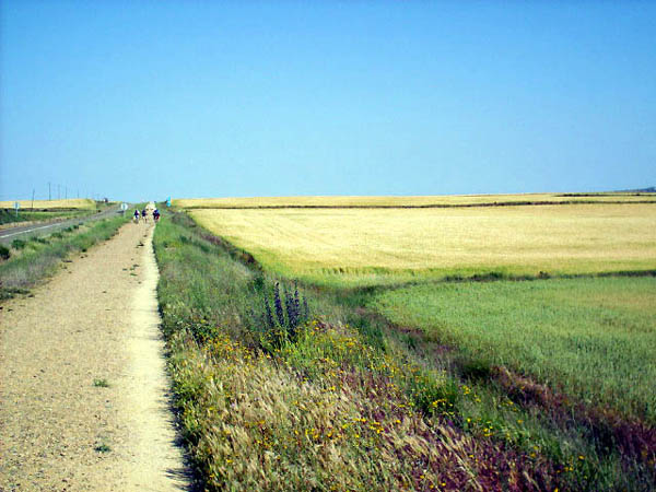 Camino Francés · Étape 3 — photo 7