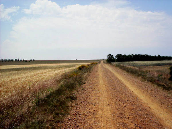 Camino Francés · Étape 3 — photo 9