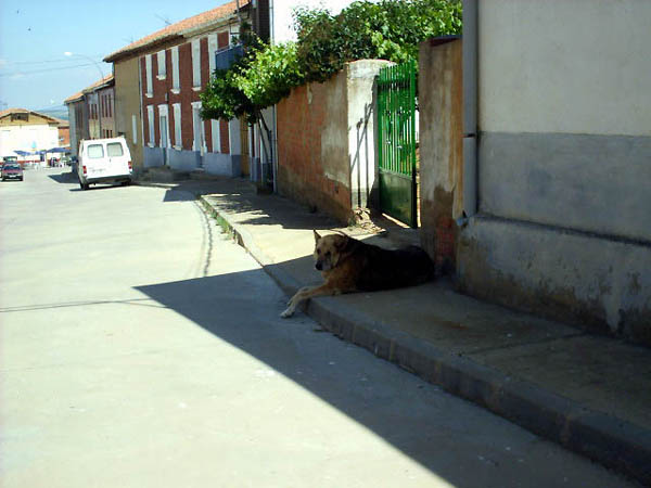 Camino Francés · Étape 3 — photo 13