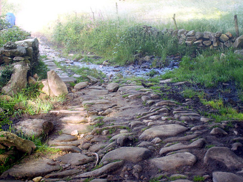 Camino Francés · Étape 3 — photo 41