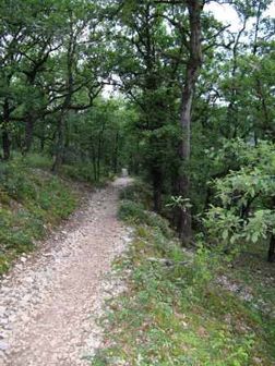 Conques → Cahors — photo 55