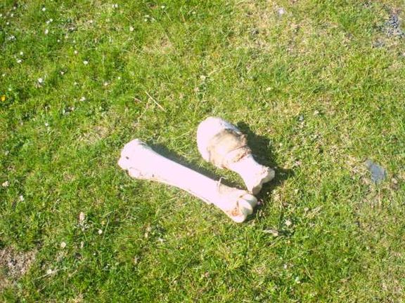 Insolites — photo 6