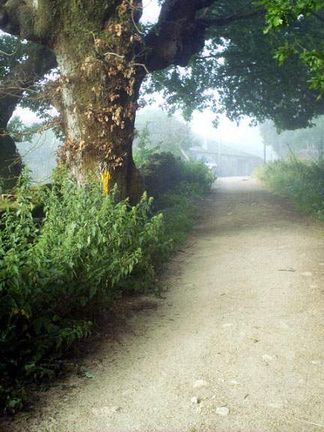 Signes · partie 2